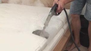 Cleaning with a steam generator