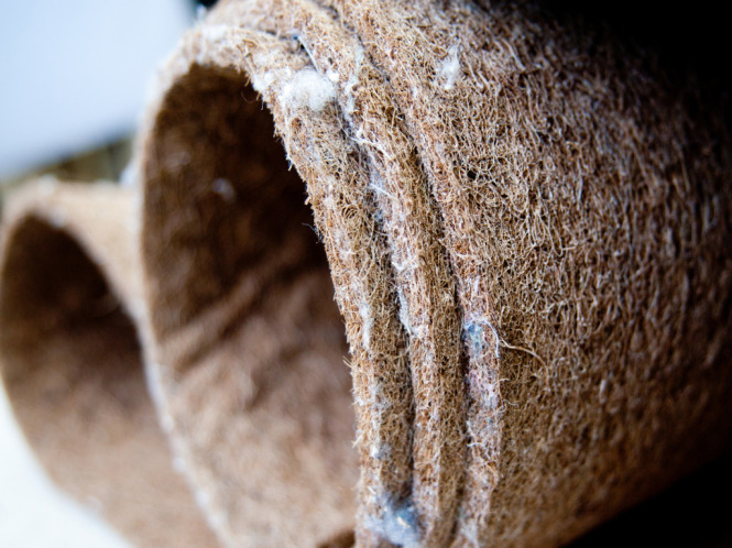 Latexed coconut coir