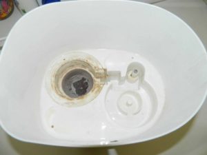 Lime in the humidifier