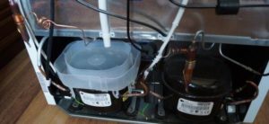 Compressor in the refrigerator