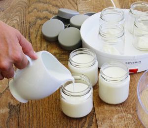 yogurt maker device