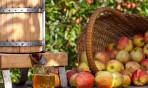 Press juicer for apples