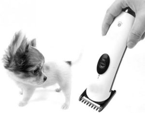 Human clippers can frighten animals.