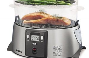 Features of the steamer