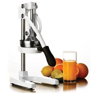 Citrus juicer
