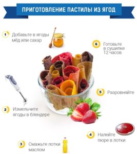 in a fruit dryer, you can prepare marshmallows.