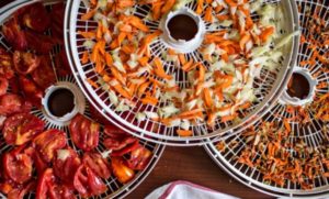 How to properly dry vegetables