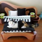 How to make a bed for a cat with your own hands.
