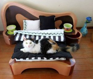 How to make a bed for a cat with your own hands.