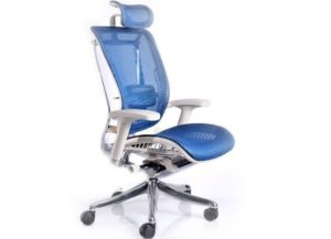 How to choose a schoolchild's chair for home