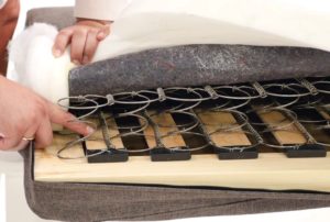 Features of a spring snake.