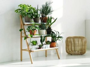 DIY flower shelves