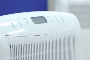 Popular dehumidifier models