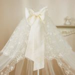 why is there a canopy in the crib?