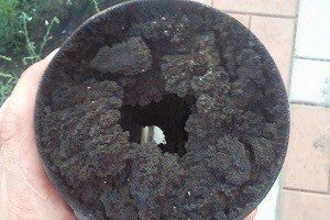 Cleaning the boiler from soot