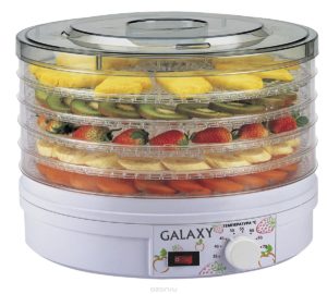 electric dryer for vegetables and fruits