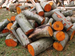 alder firewood