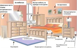 Where to look for bedbugs