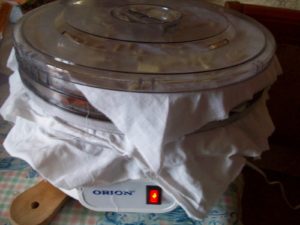 proper drying of fruits