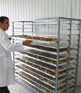 dryer for vegetables and fruits