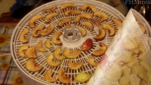 drying apples in a dryer