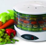 fruit and vegetable dryer