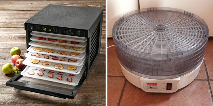 types of fruit dryers
