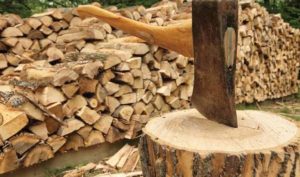 apple tree firewood