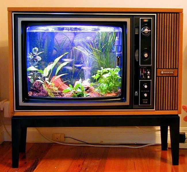 DIY aquarium from an old TV