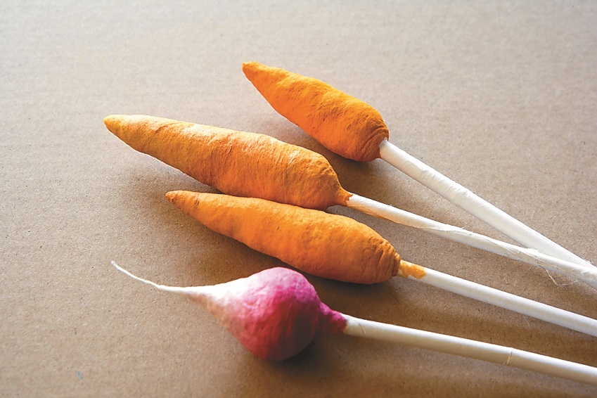 Carrots and radishes.