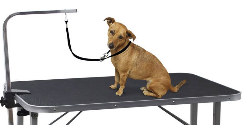 DIY dog grooming table