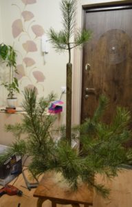 Christmas tree made of branches