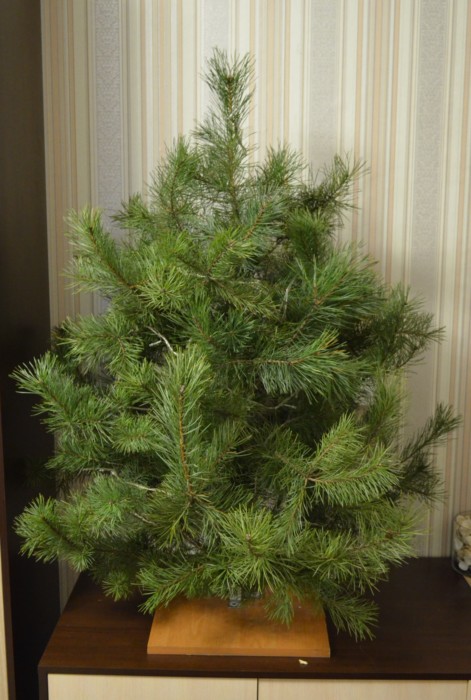 Christmas tree made of branches 