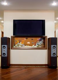 Aquarium and TV