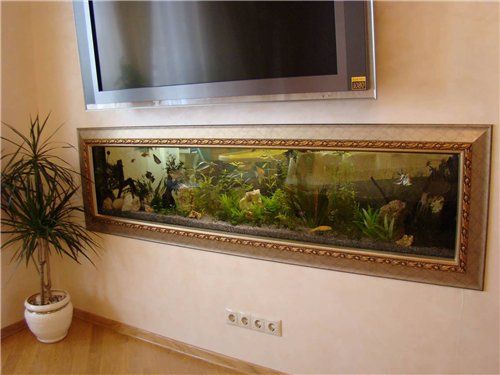 Aquarium and TV