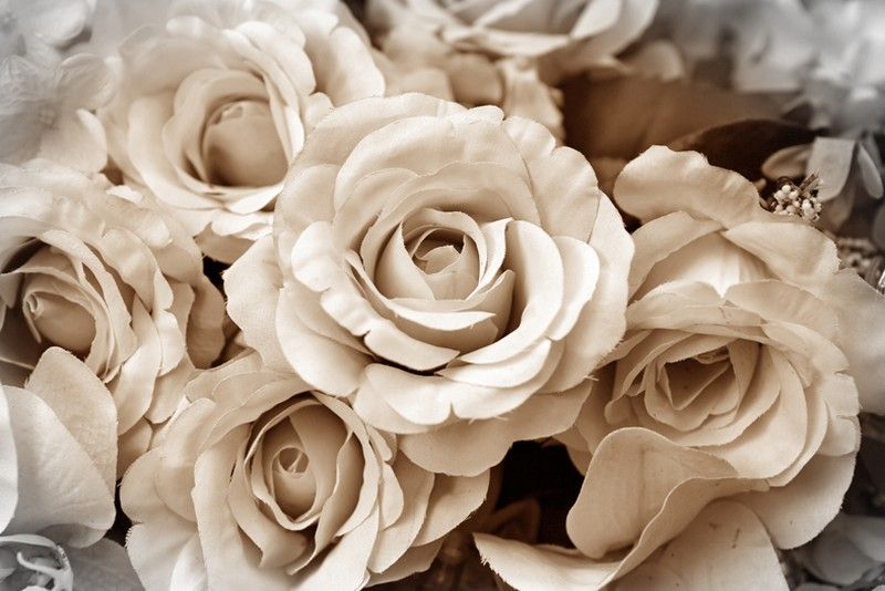 3D photo wallpaper for the bedroom