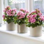 flowers in the bedroom