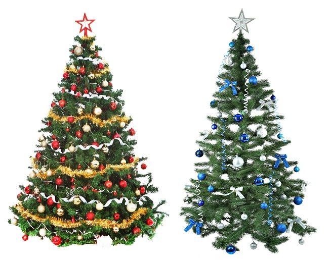 Christmas tree and pine