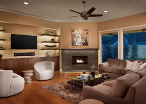 Fireplace and TV in the living room interior.