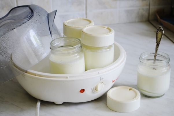 yogurt maker