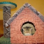 Option for a cat house made of carpet with a scratching post.