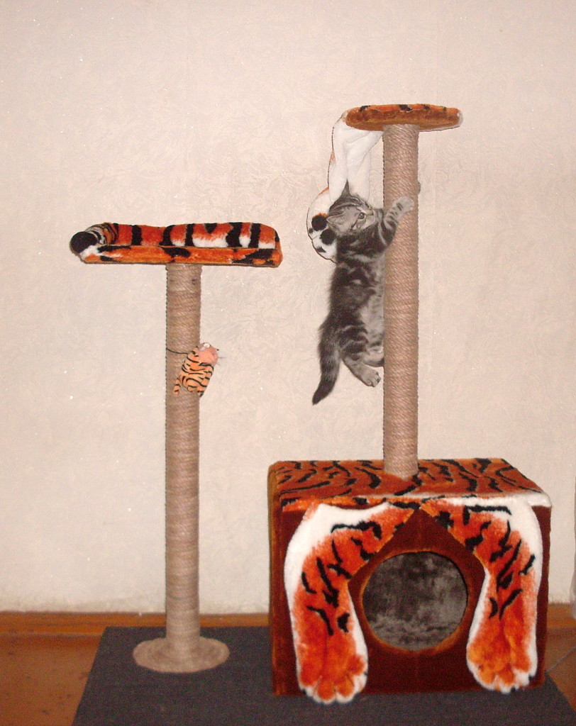 A version of a carpet house for a kitten.