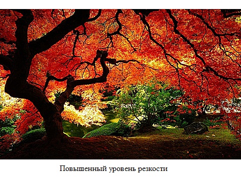 How to adjust monitor sharpness 