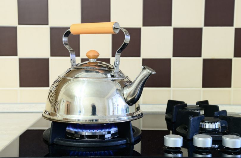 Which kettle to choose for a gas stove.