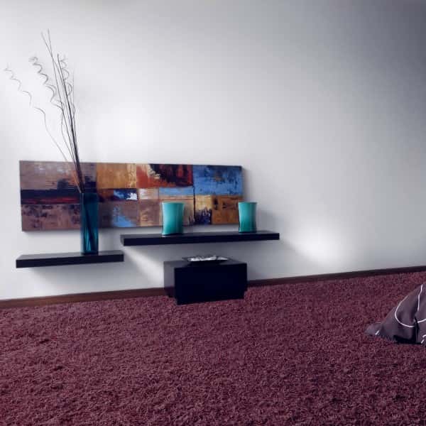 Carpet in the interior