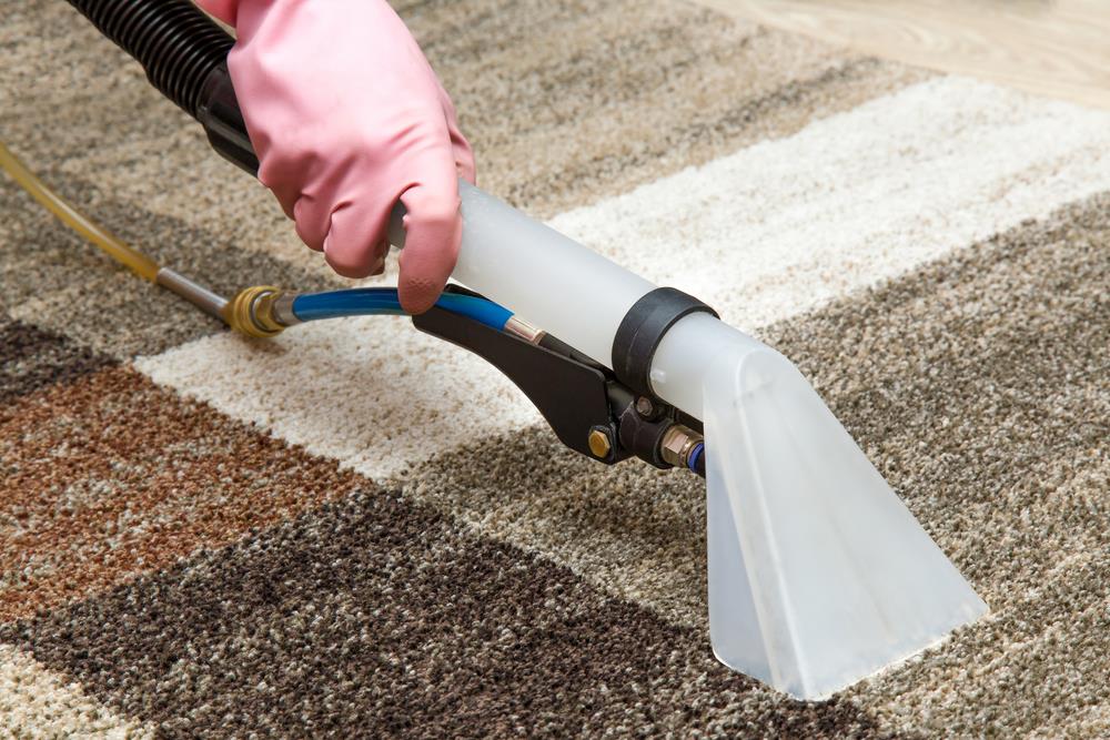 Cleaning carpet with a vacuum cleaner.