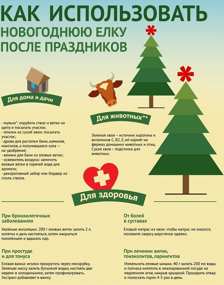 how to use a Christmas tree after New Year's Eve