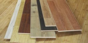 advantages and disadvantages