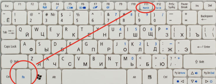 NumLK and Fn key combination.