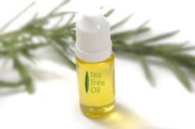 tea tree oil